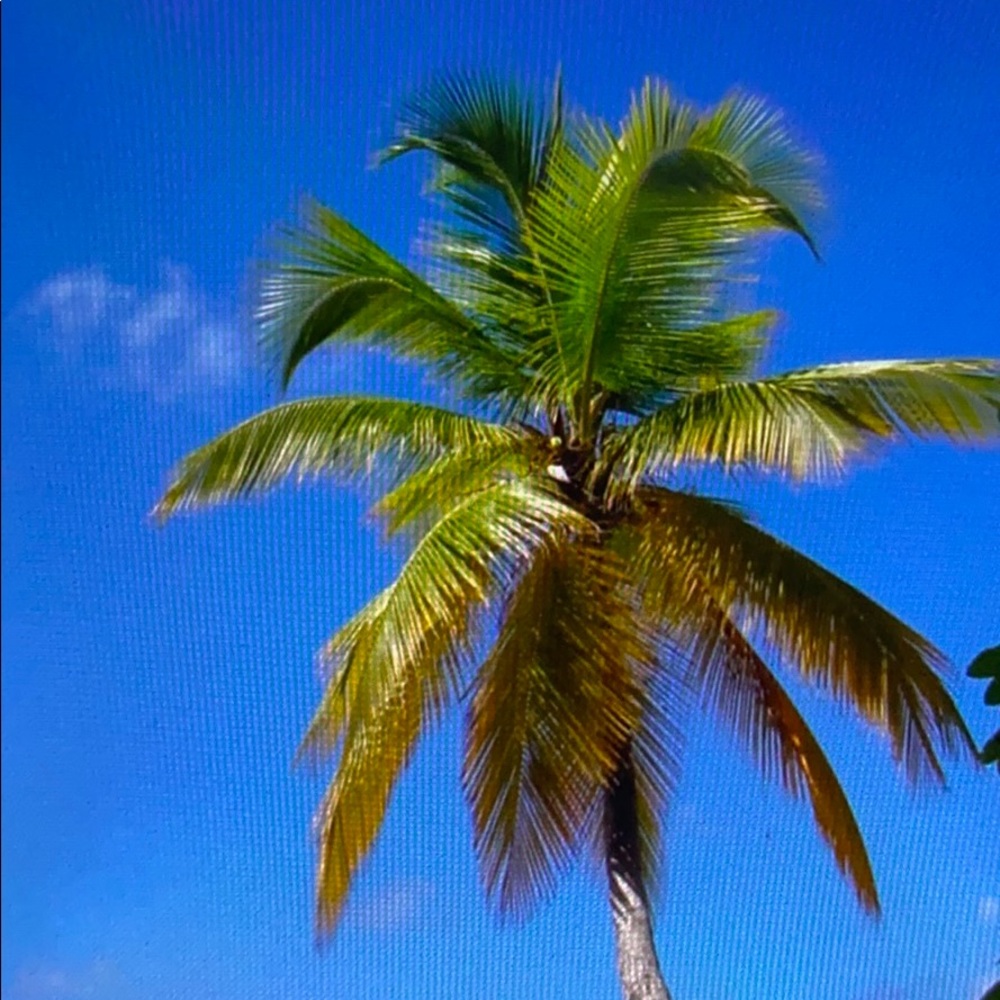 Meet your Posher, Toan